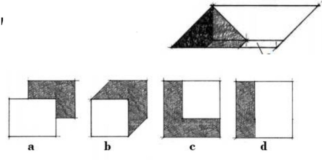 Perspective plan
