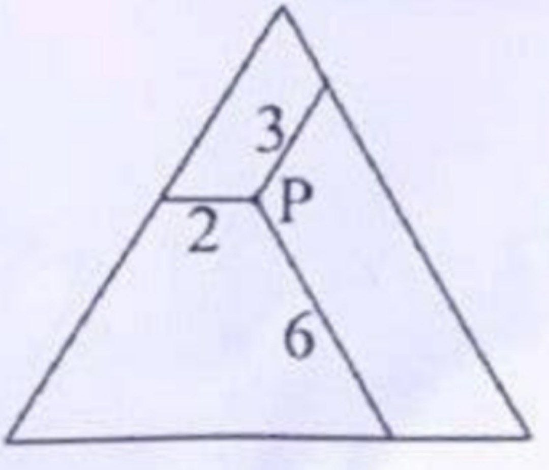 Triangle équilatéral