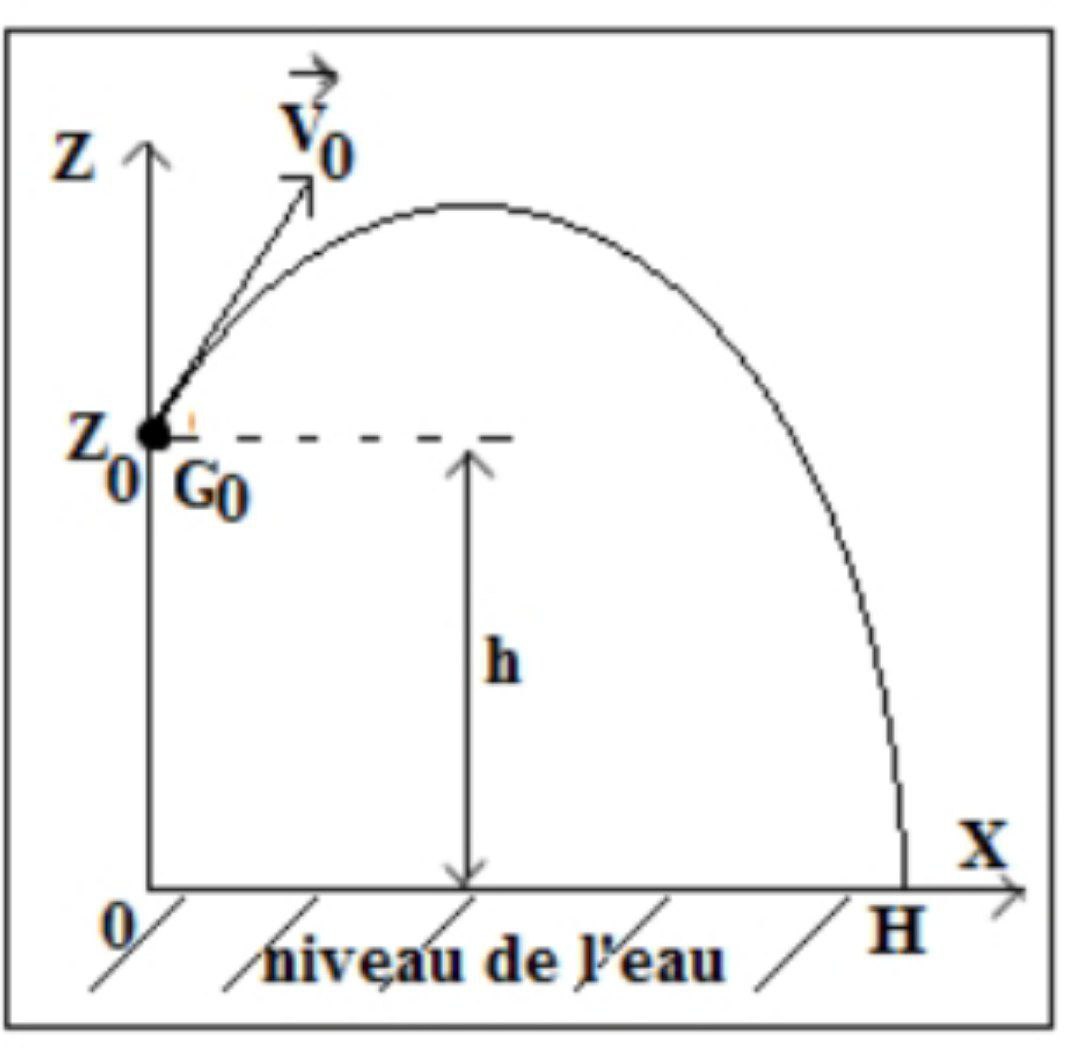 Plongeur