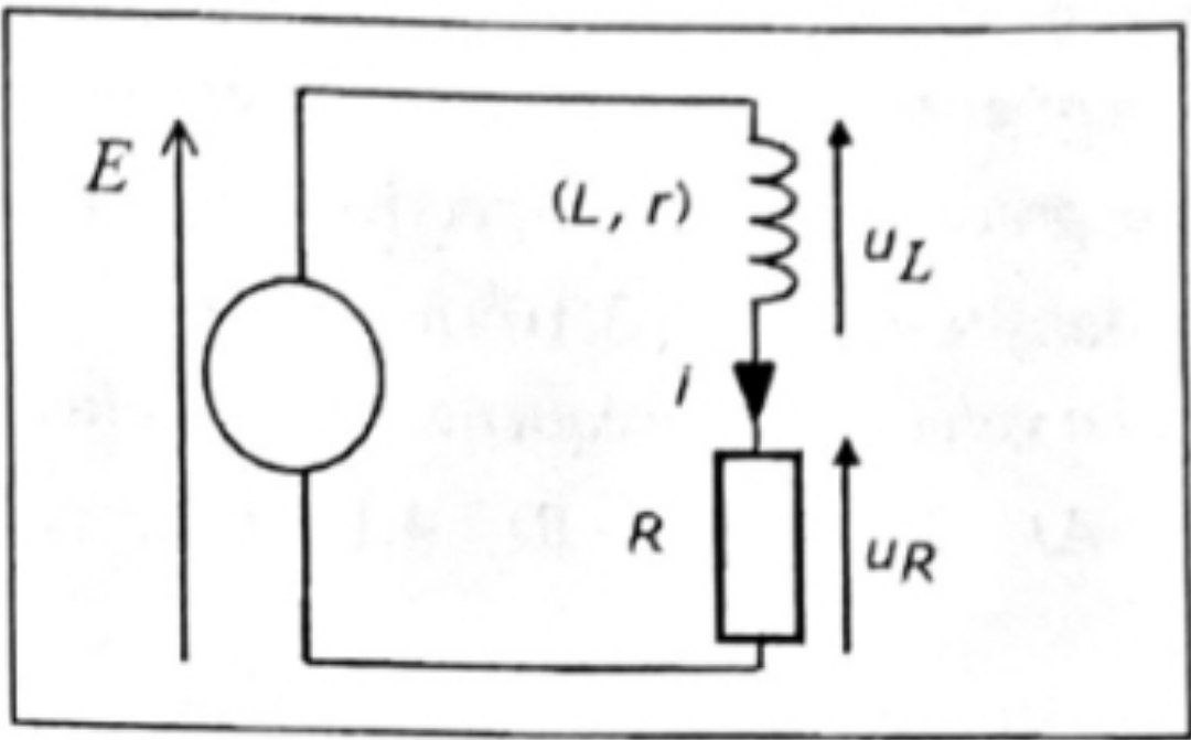 Circuit RL