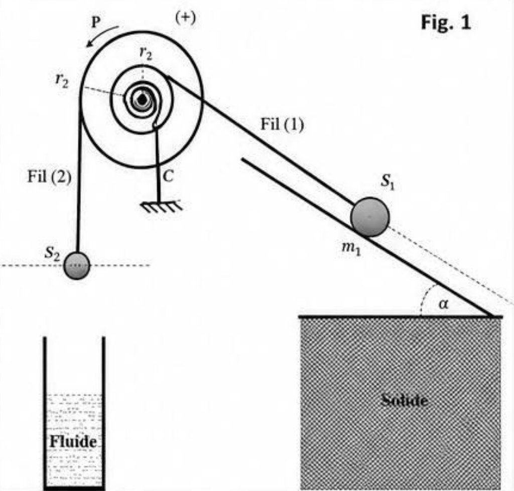Figure 1 : Poulie et masses
