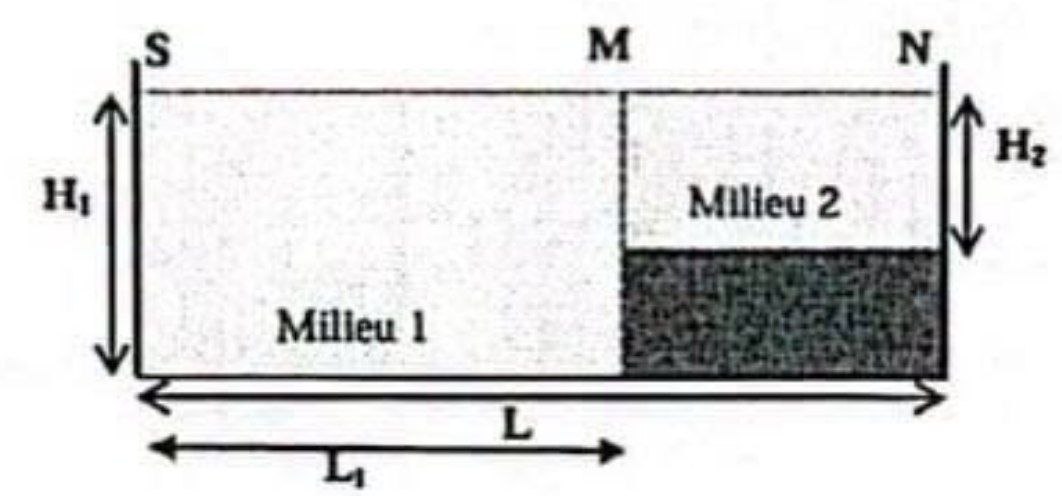 Piscine Milieux