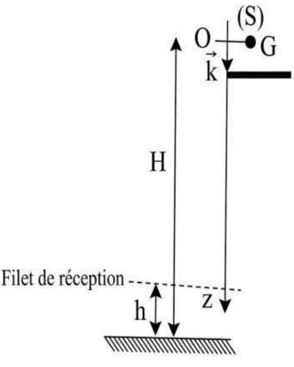 Schéma Figure 1 du saut du cascadeur