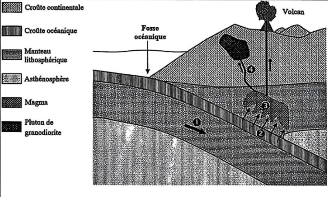 Schéma d'une zone de subduction
