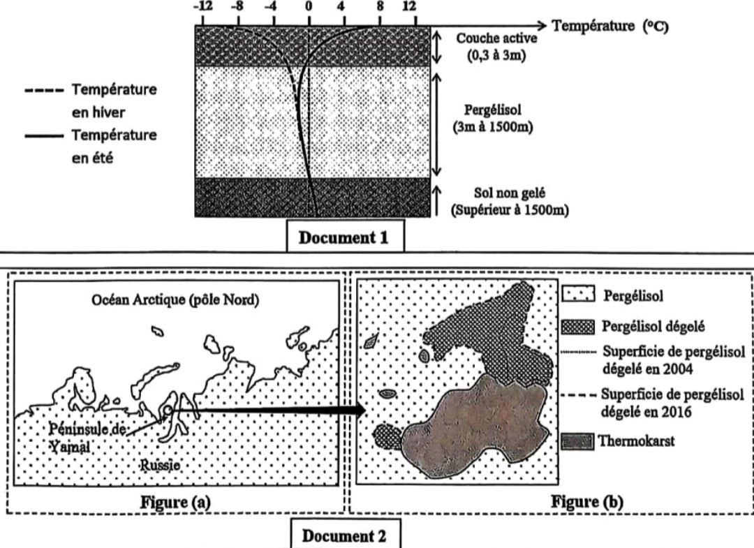 Document 1 : Profil de température du pergélisol