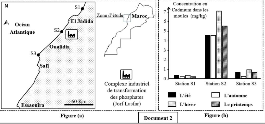Document 2 - Localisation des stations et concentration en cadmium